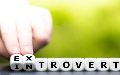 Réconcilier un entrepreneur introverti avec son propre style de leadership