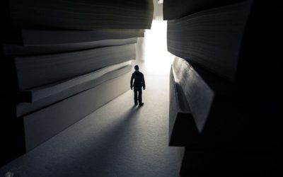 Comprendre son profil entrepreneurial pour mieux s’entourer